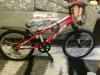 TRINX 